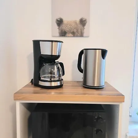 Voll Ausgestattete Ferienwohnung In ドレスデン